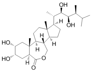 Brassinolide 72962-43-7